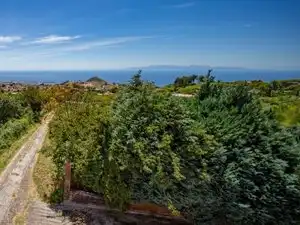Vista exterior de Casa o xalet en venda en El Rosario amb Jardí privat, Terrassa i Traster