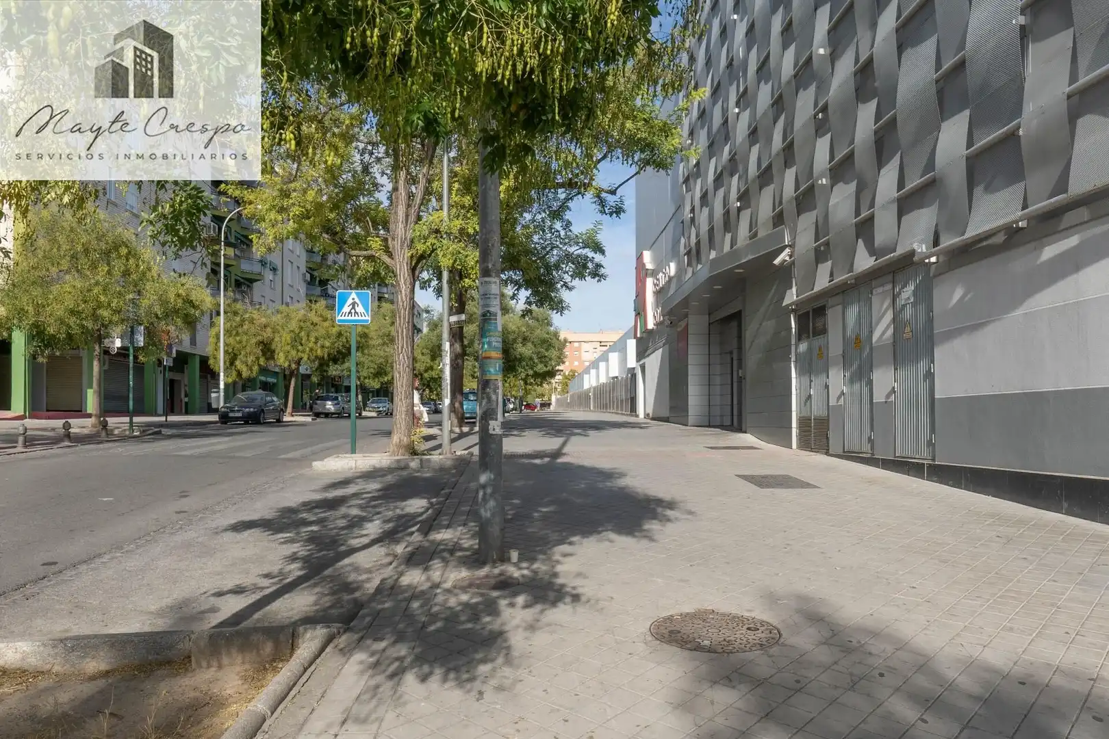 Local comercial en venda a Calle PROFESOR FRANCISCO DALMAU 11, imagen 39