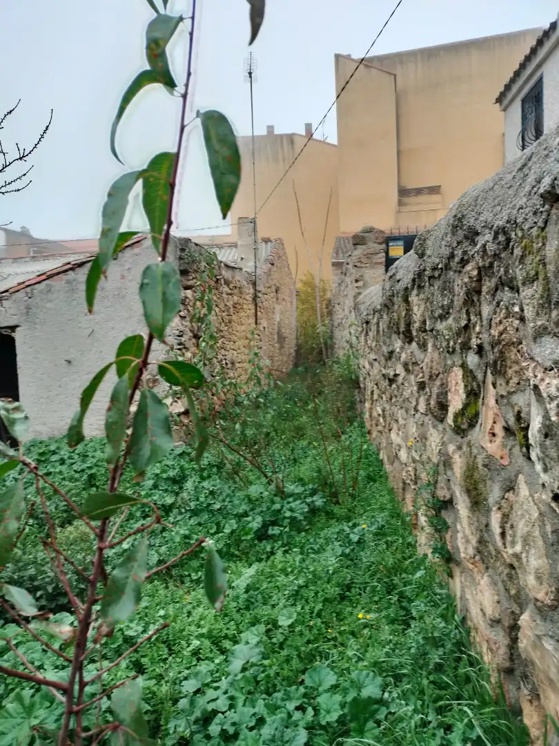 House with garden for sale in El Molar (Madrid), imagen 4
