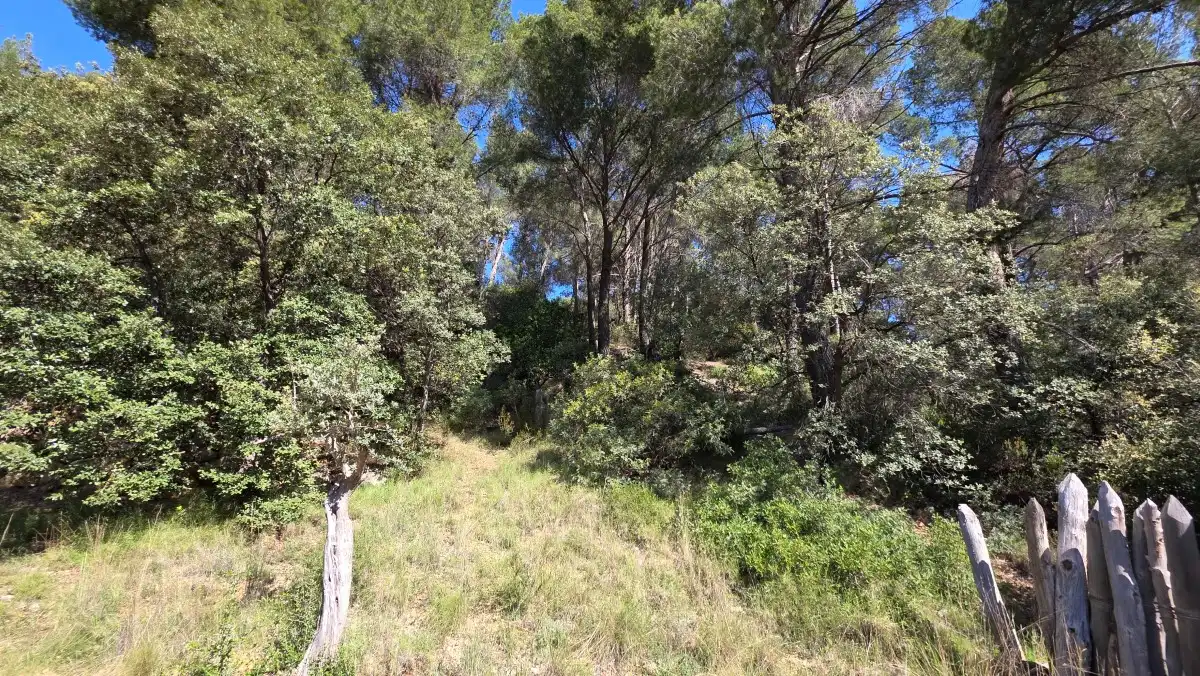Terreny rústic en venda a Sóller, imagen 16