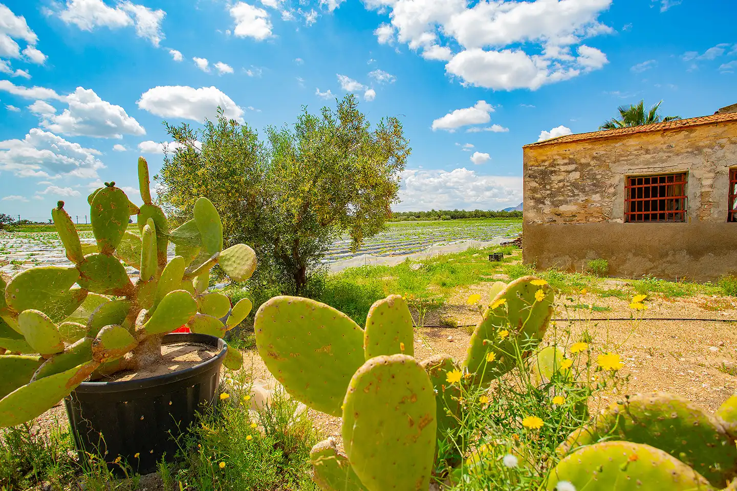 Jardí de Finca rústica en venda en San Isidro