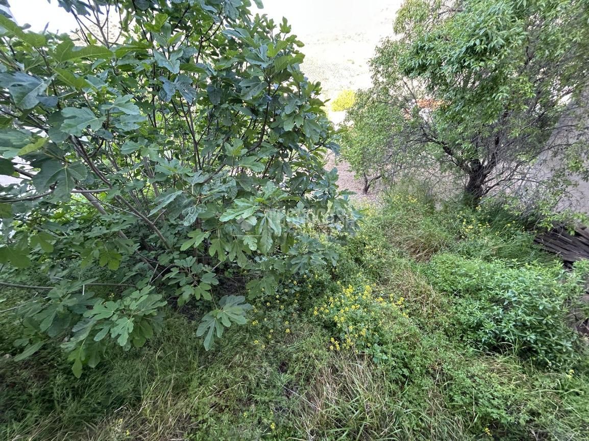 Casa adosada en venta en Colomera