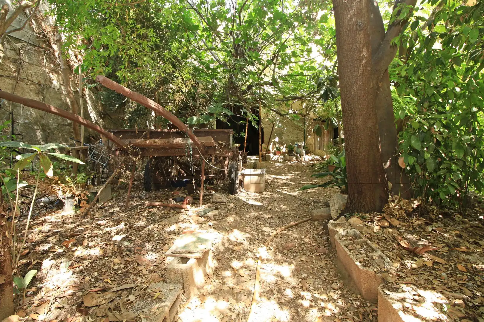 Jardí de Casa o xalet en venda en Sa Pobla amb Jardí privat