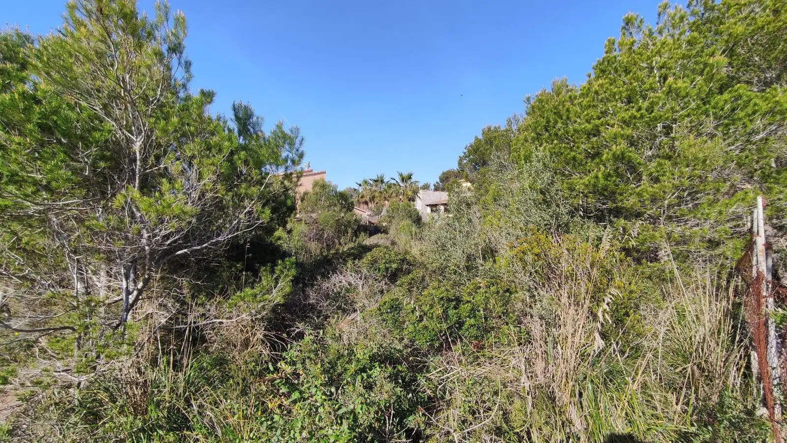 Land for sale in Cala Mesquida