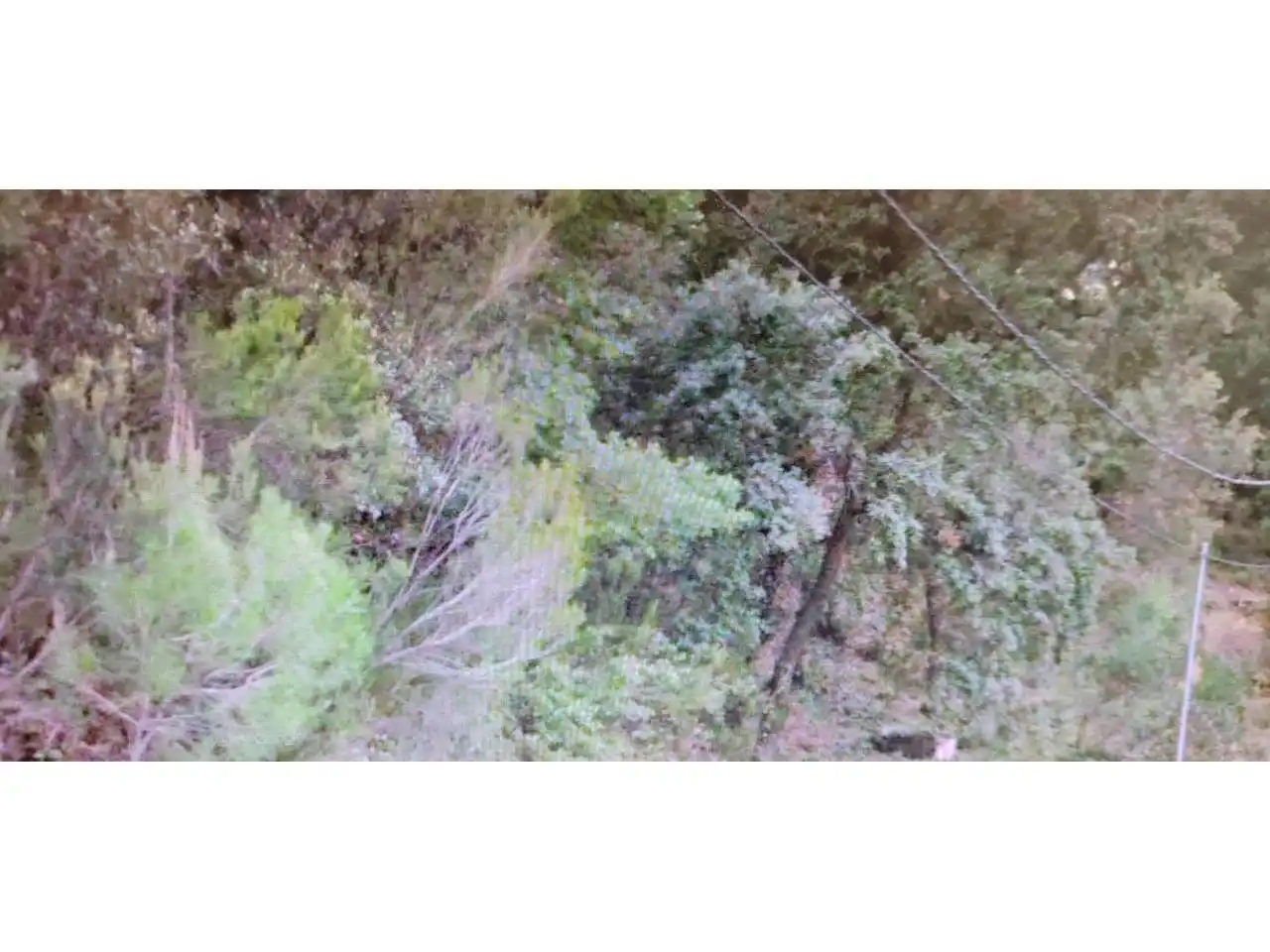 Terreny rústic en venda a Calle Serra de  San Feliu, imagen 3