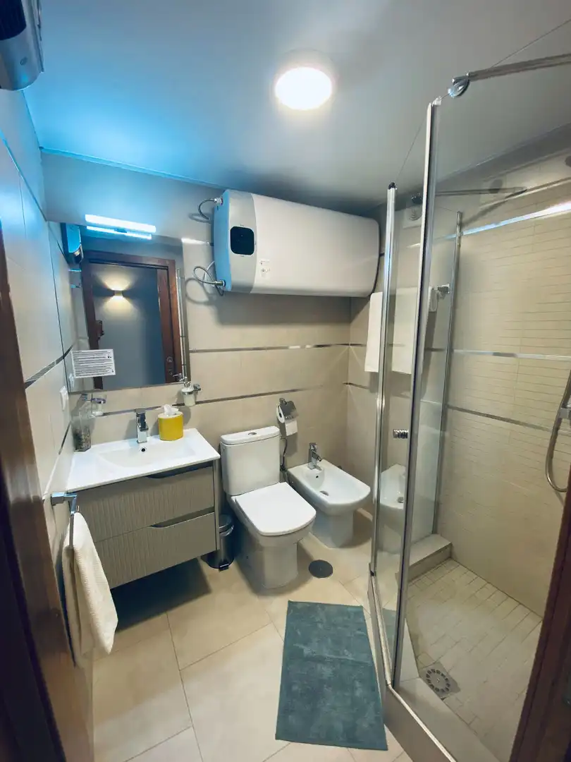 Estudio en alquiler en Centro, imagen 24