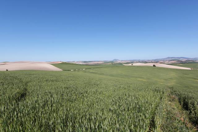 Terreno en Venta en Pedanías Sur