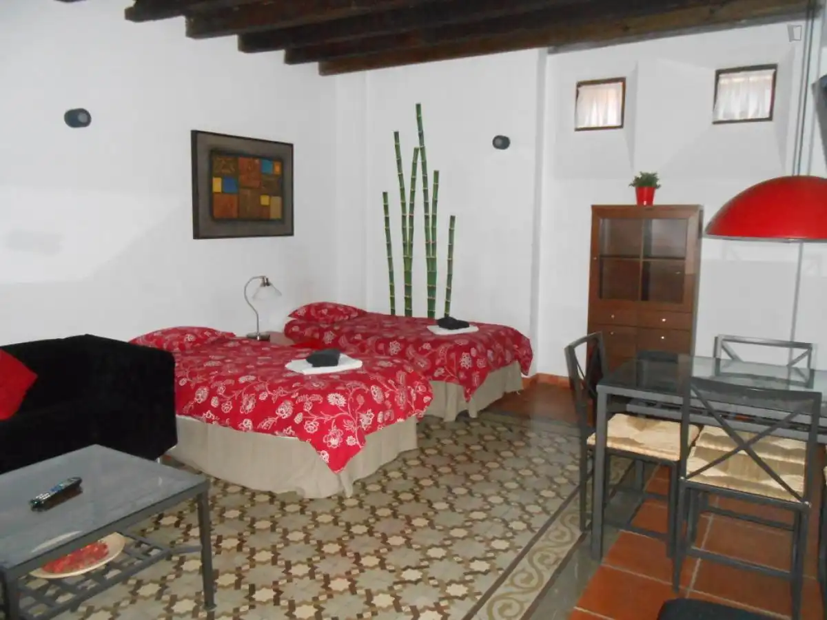 Apartment to rent in Centro, imagen 8