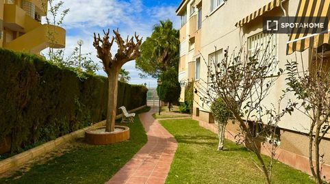 Foto 5 de Pis de lloguer a El Perelló, Sueca