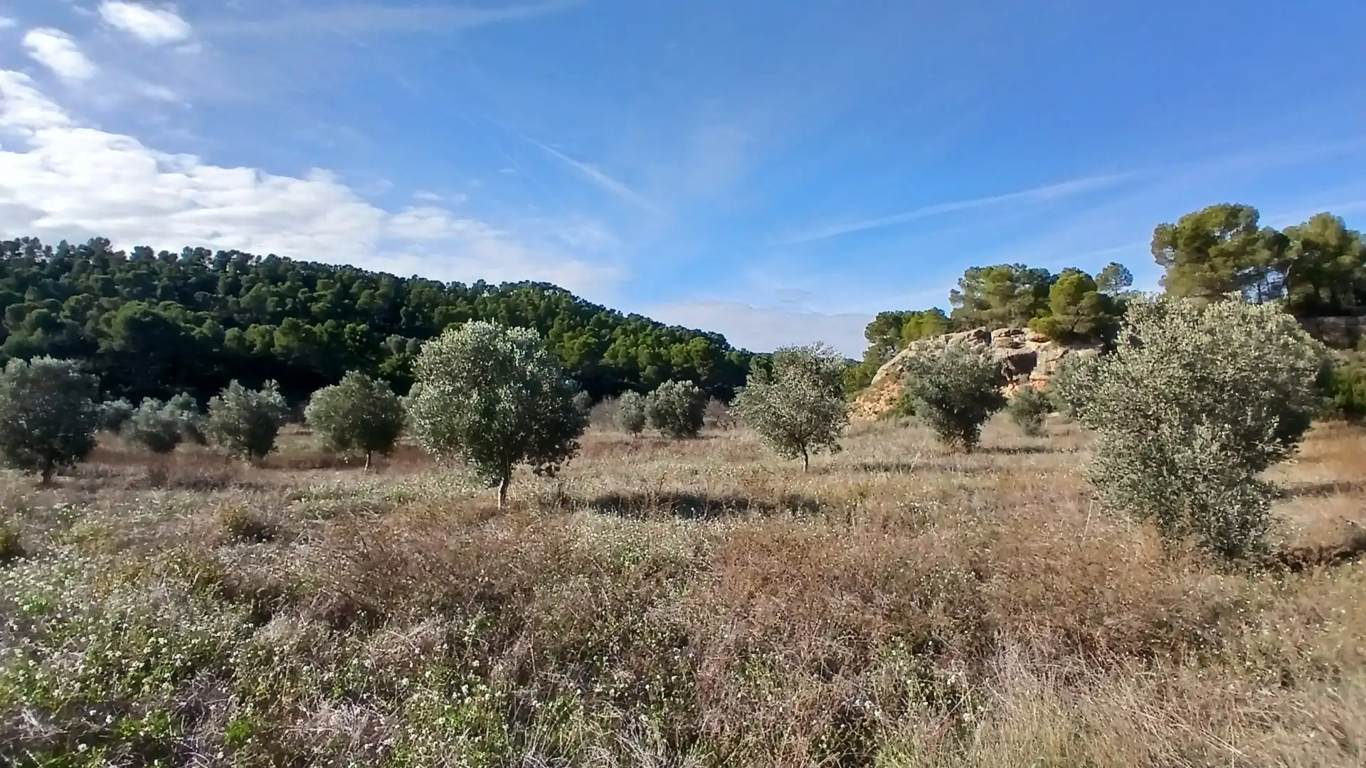 Terreni e lotti in vendita a Calaceite, imagen 12