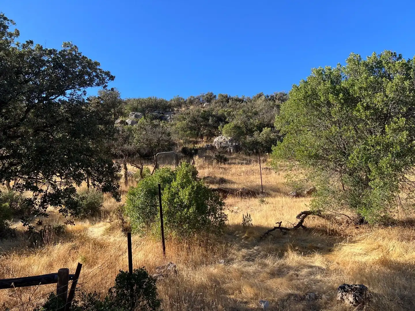 Finca rústica en venda en Antequera