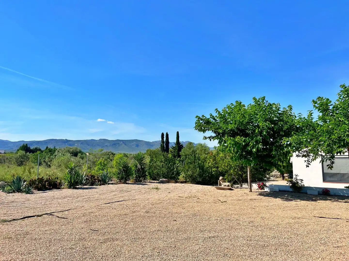 Casa o chalet en venta en La Sénia con Piscina