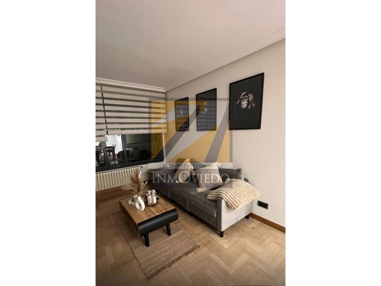 Sala d'estar de Pis de lloguer en Oviedo  amb Calefacció, Parquet i Traster