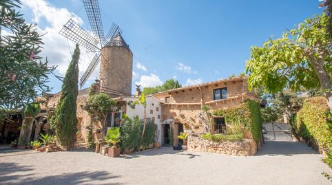 Molino histórico restaurado con casa de invitados y licencia vacacional en Santa Eugènia, imatge 3