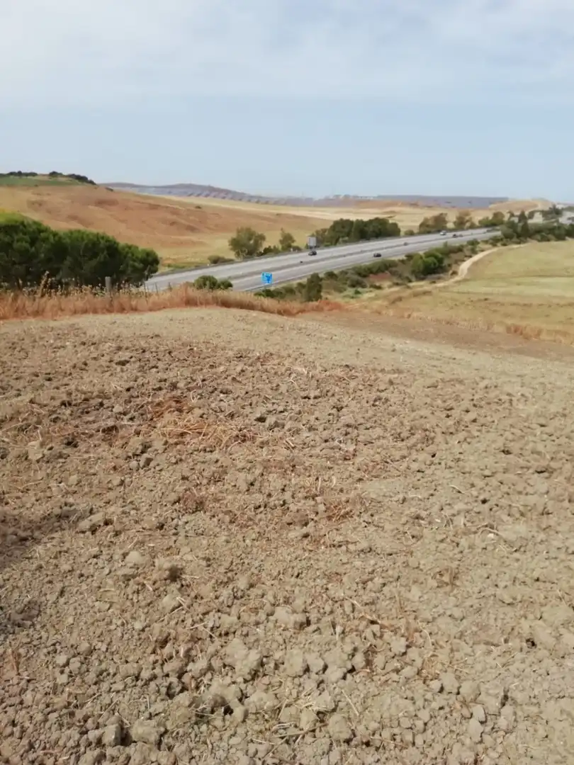 Terreno rustico in vendita a Barbate ciudad