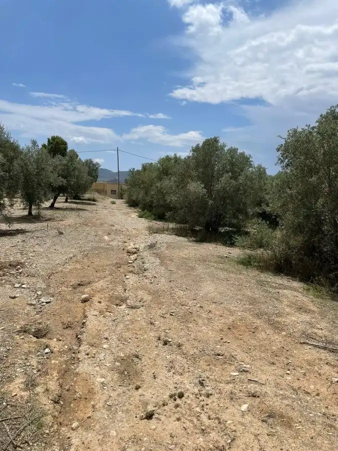 Terrenys i solars en venda a Huércal-Overa, imagen 5