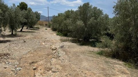 Terreno Rústico en venta en HuércalOvera., immagine 5