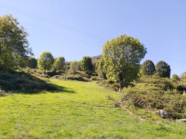 Casa-chalet en Venta en Onís