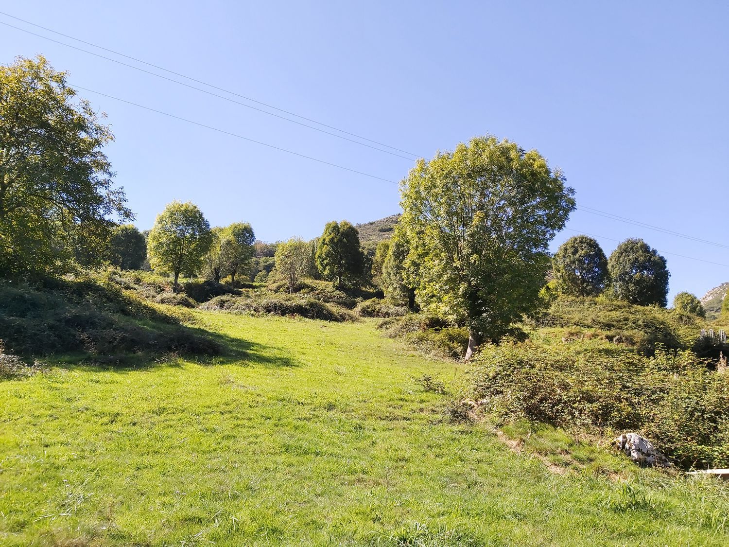 House or chalet for sale in Onís