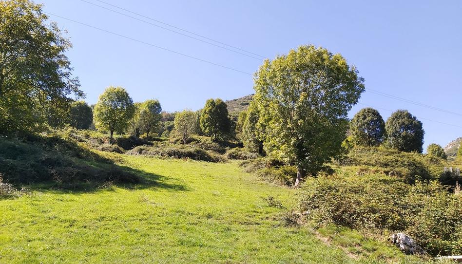 Photo 1 of House or chalet for sale in Onís, Asturias