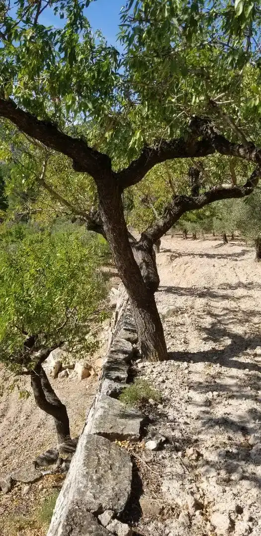 Vista exterior de Finca rústica en venda en Amposta
