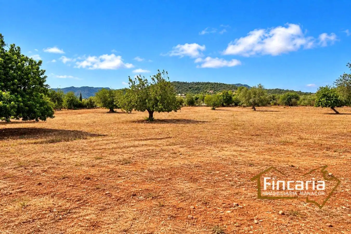 Country homes for sale in Marratxinet