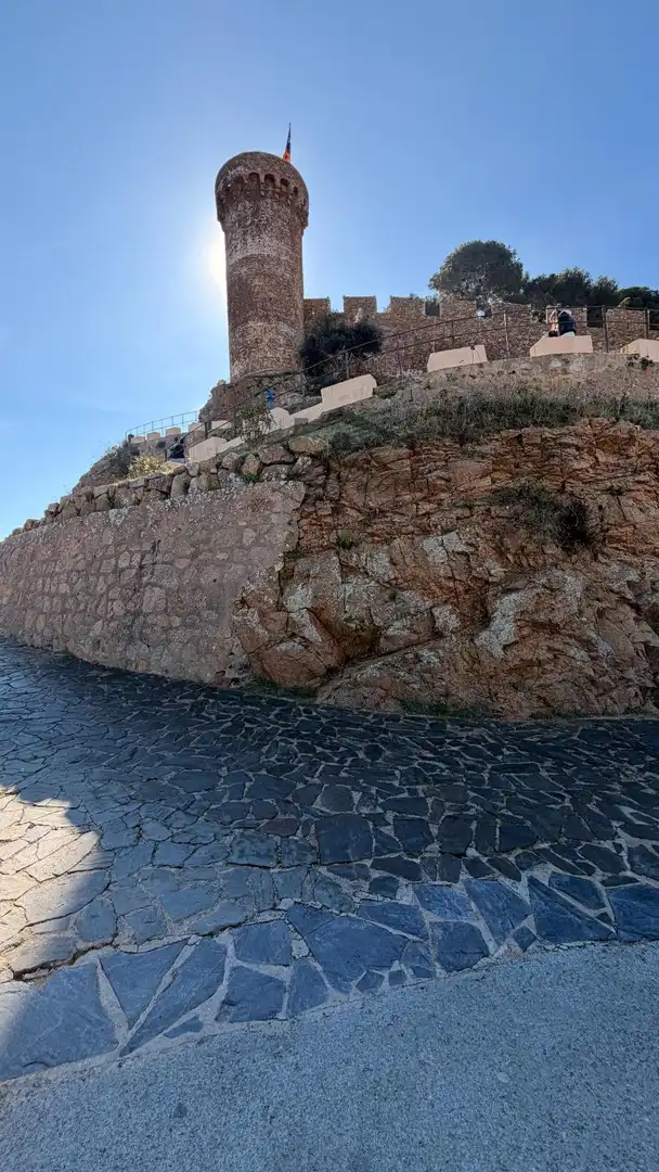 Vista exterior de Finca rústica en venda en Tossa de Mar amb Calefacció i Terrassa