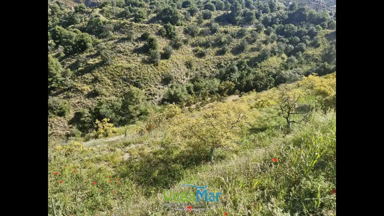 Terreny rústic en venda a Barranco de la Fifa, imagen 5