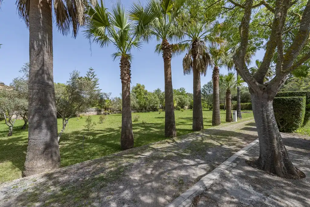 Jardí de Finca rústica en venda en Pollença amb Aire condicionat, Jardí privat i Terrassa