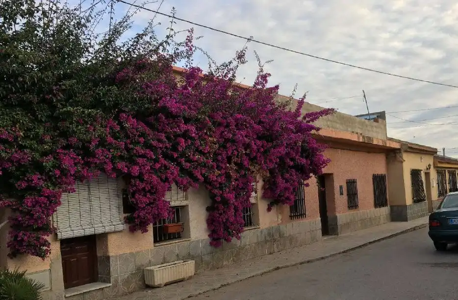Vista exterior de Apartament en venda en  Murcia Capital