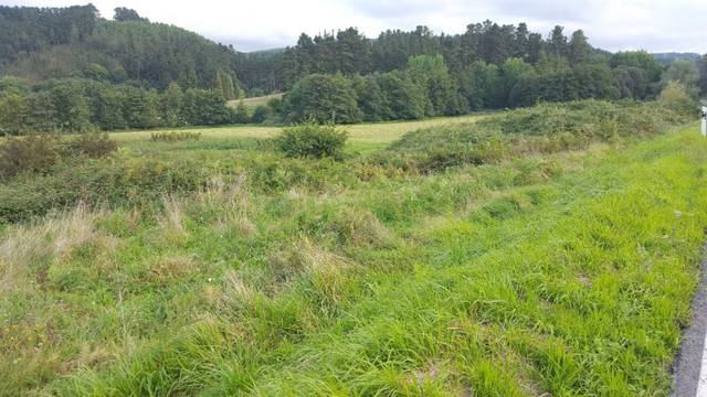 Terreno residencial en Venta en Morga