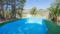 Swimming pool of Country house for sale in Petrer  with Swimming Pool