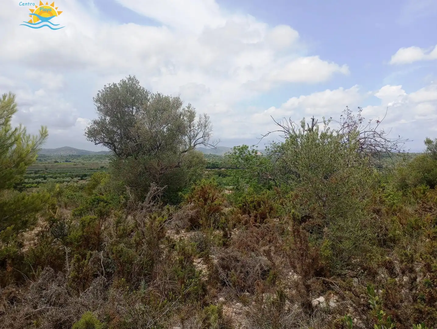 Maison rustique à vendre à CALIG CASTELLON 12589, imagen 11