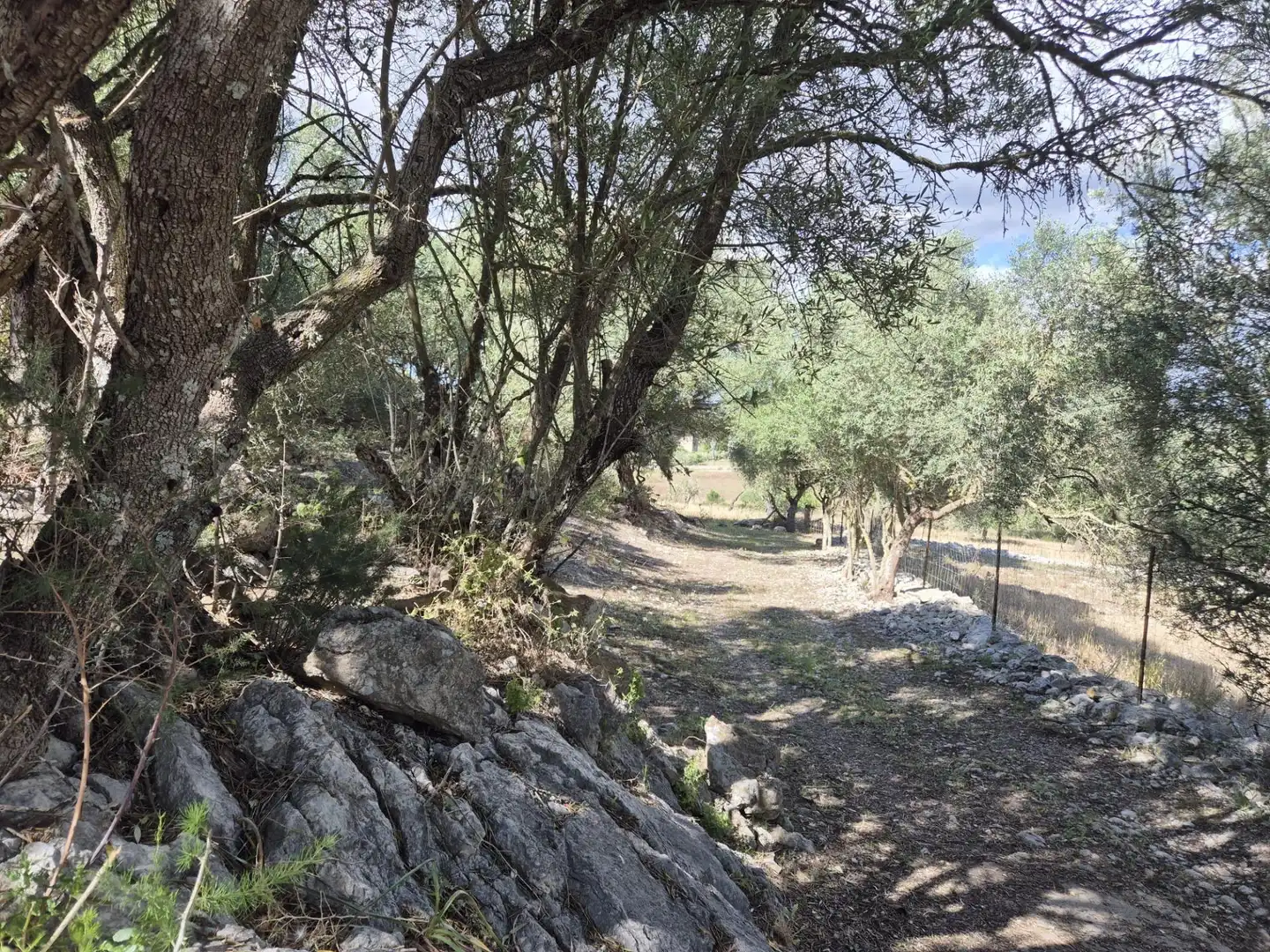 Casa rústica con jardín en venta en Sineu, imagen 48