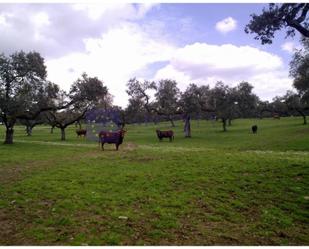 Finca rústica en venda en Alcántara