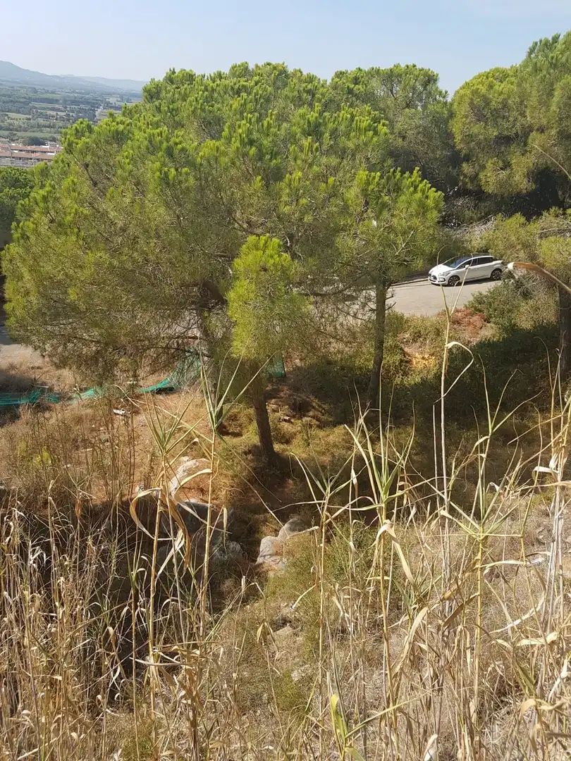 Lands and plots for sale in L'Estartit Poble, imagen 5