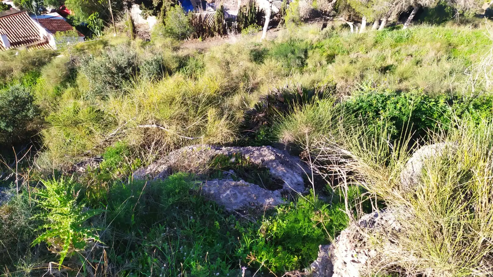 Terreni e lotti in vendita a Avenida de las Palmeras 66, imagen 7