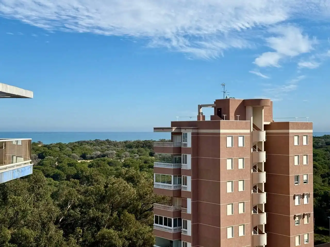 Vista exterior de Apartamento en venta en Guardamar del Segura con Aire acondicionado, Jardín privado y Terraza