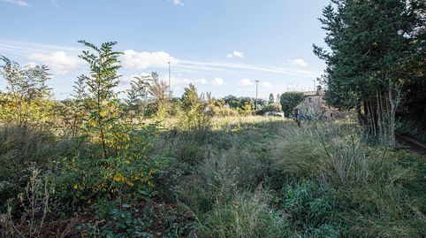 Foto 2 de Casa o xalet en venda a Llofriu, Palafrugell