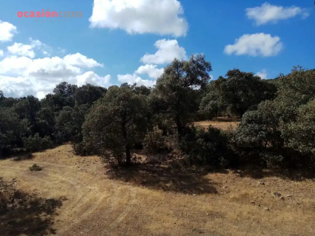 Finca rústica en venta en Villanueva del Duque