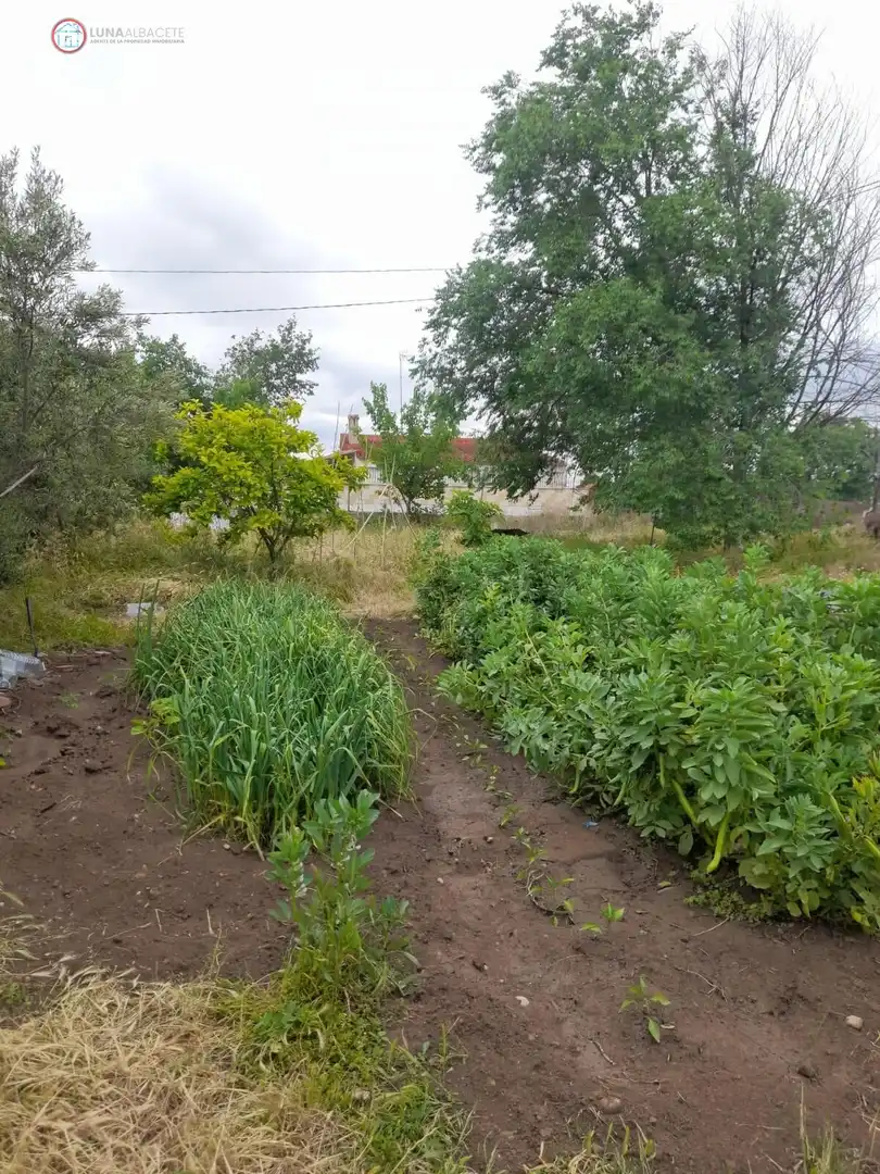Terrenos y solares en venta en Pedanías - Extrarradio, imagen 2