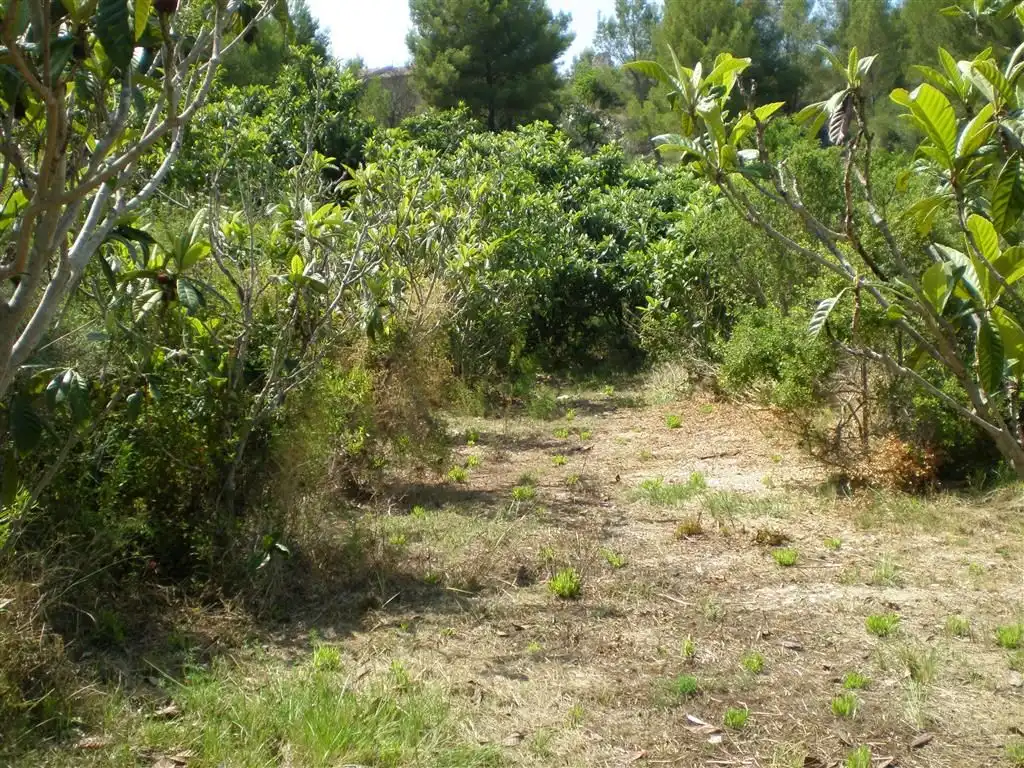 Terreno en venta en Callosa d'en Sarrià