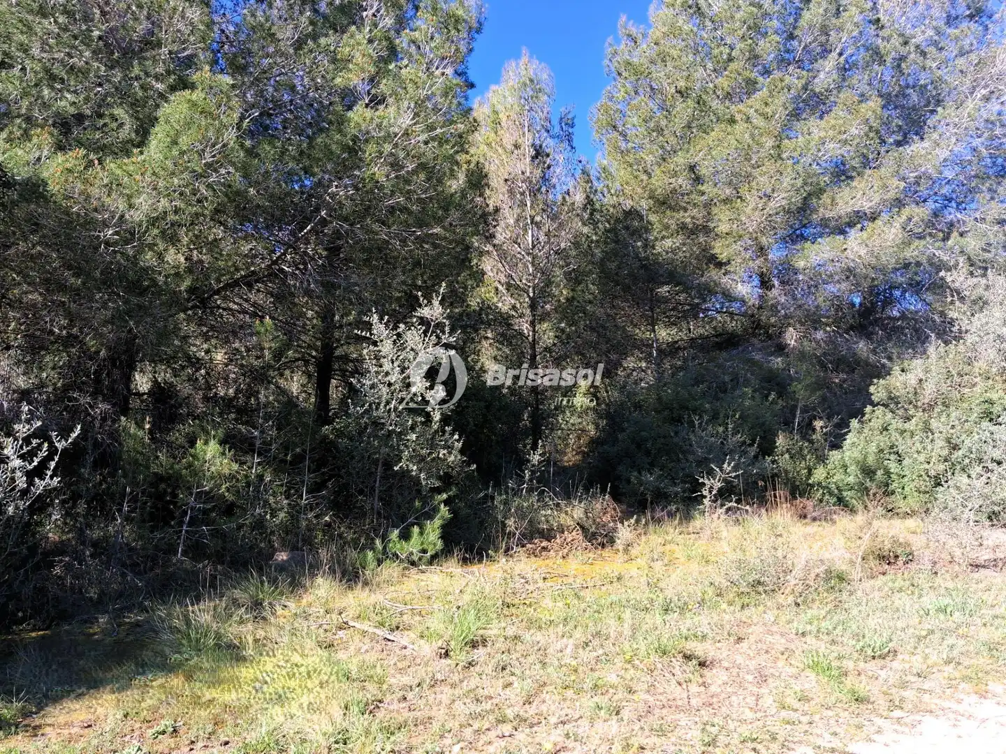 Rural land for sale in La Secuita, imagen 4