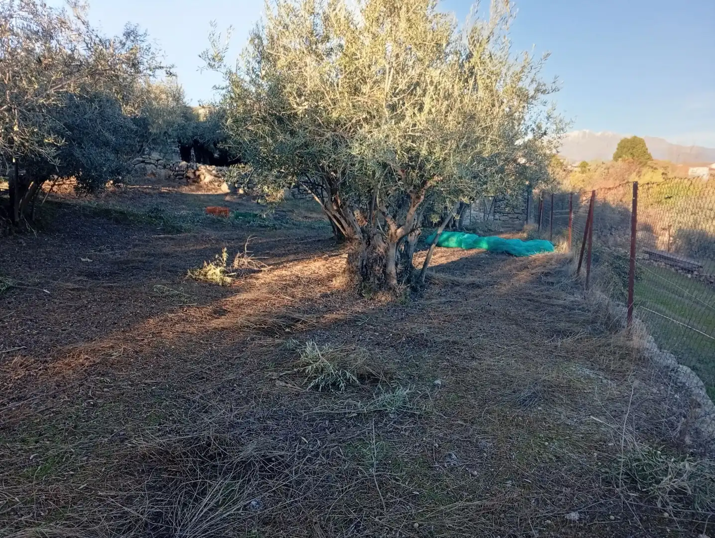 Terreni e lotti in vendita a Villanueva de la Vera, imagen 15