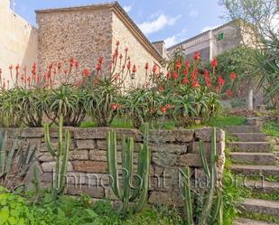 Garden of House or chalet for sale in Maria de la Salut  with Terrace