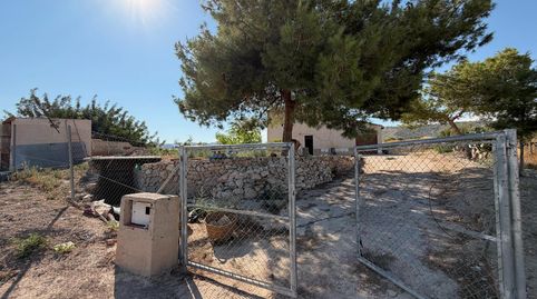 Foto 4 de Finca rústica en venda a La Romana, Alicante