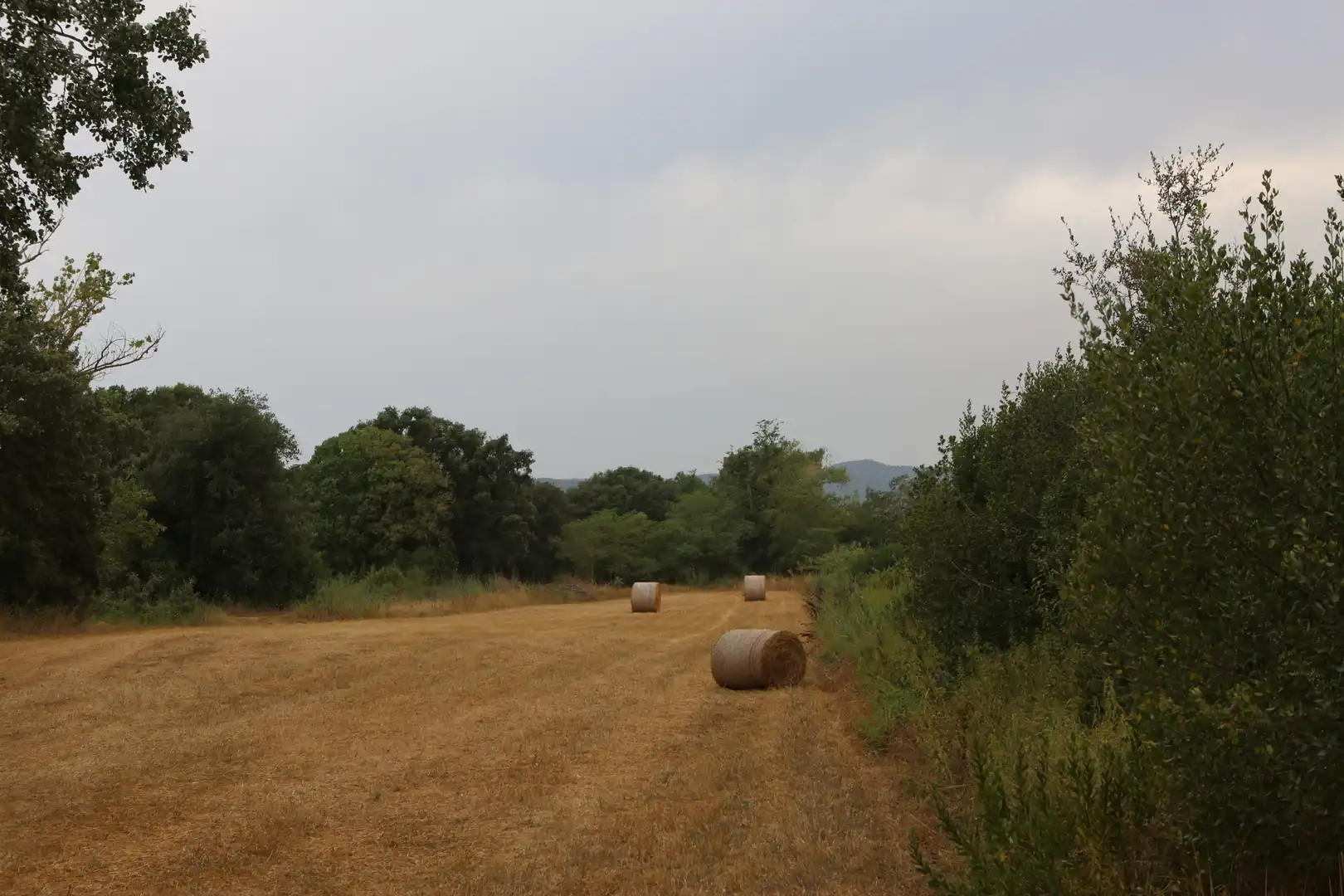 Finca rústica en venda en Begur amb Jardí privat