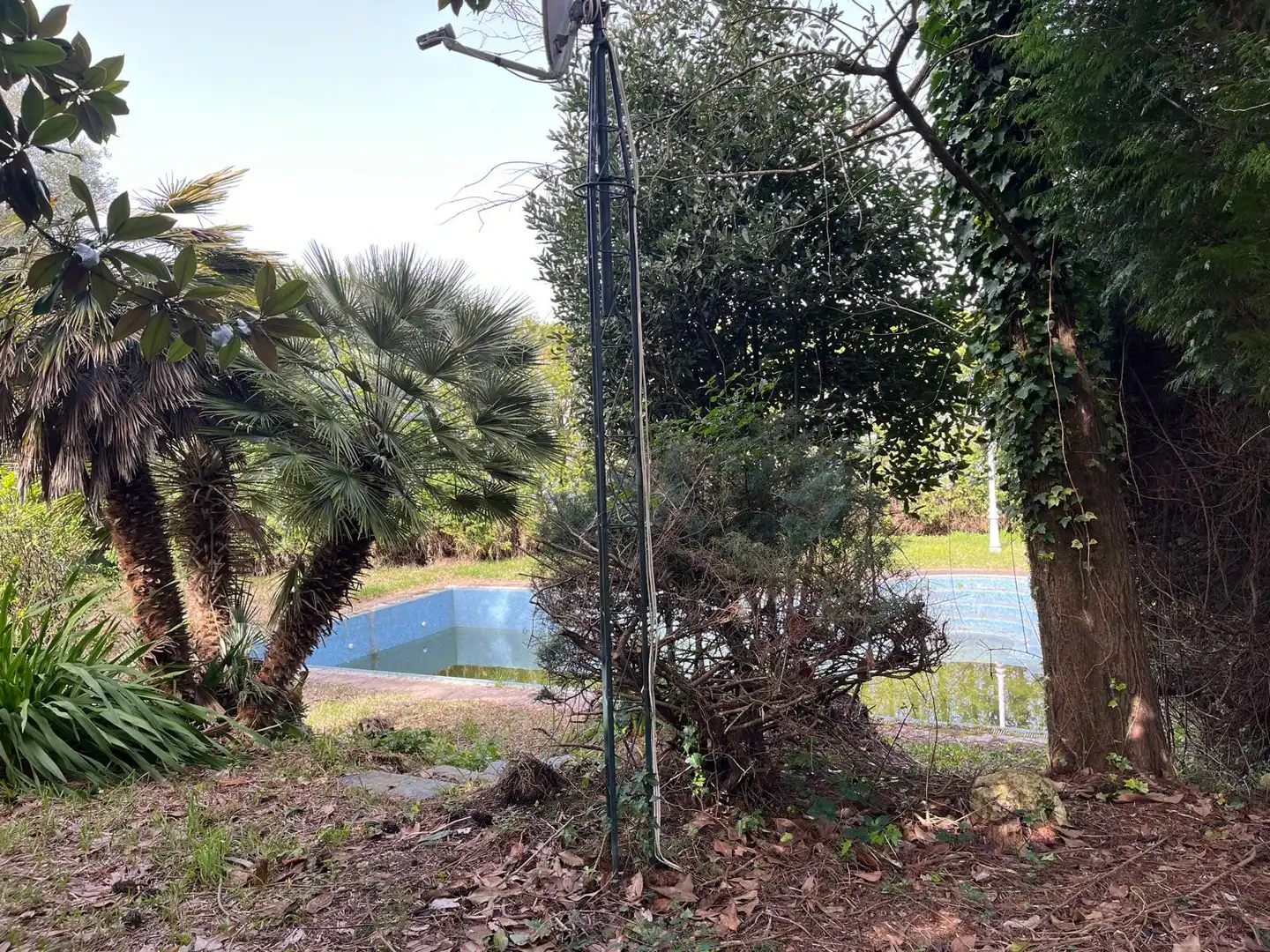 Swimming pool of Houses for sale in Vigo   with Private garden, Terrace and Swimming Pool