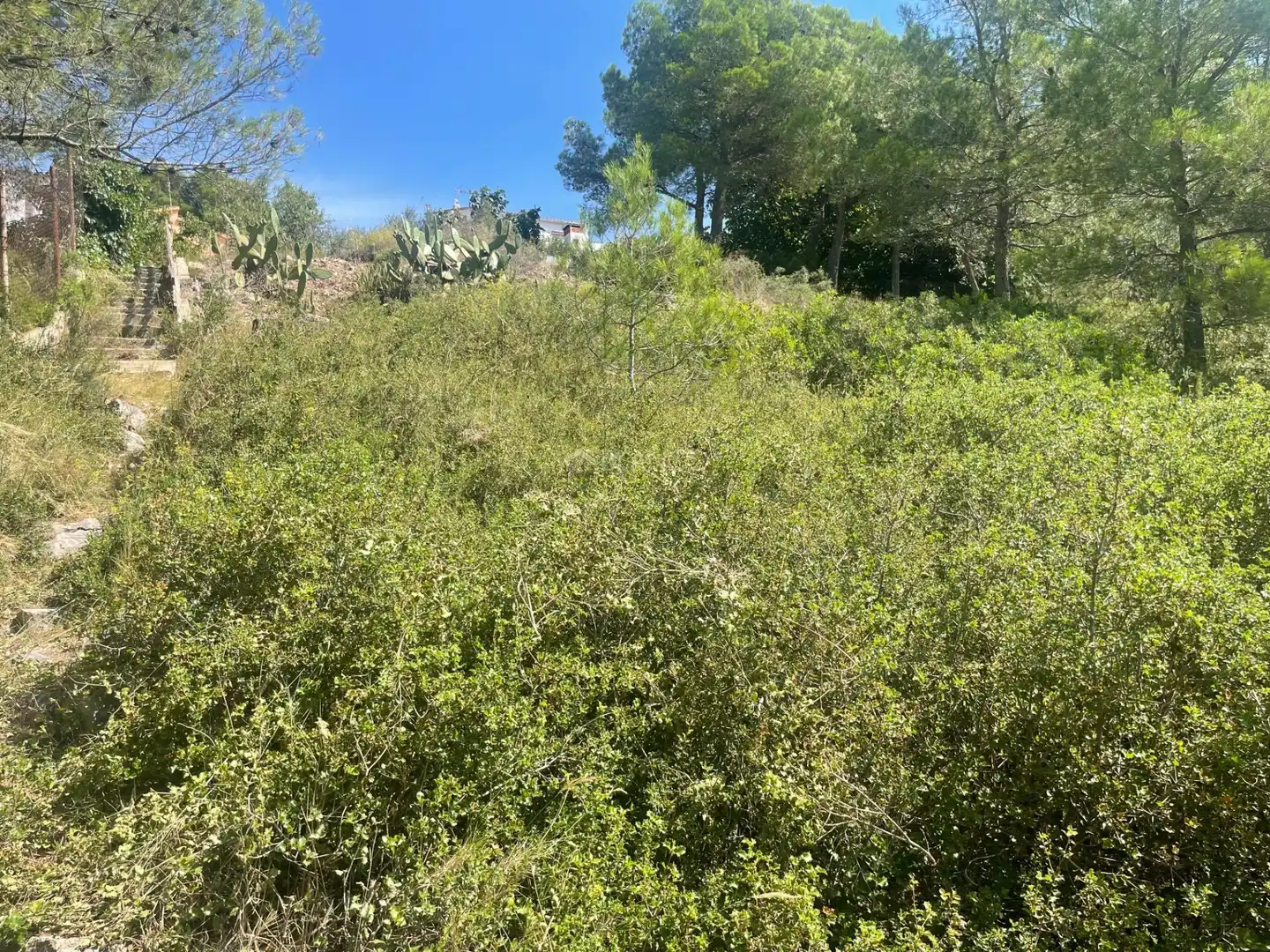 Residential for sale in Calle NOU (SANT ELIES), Mediona