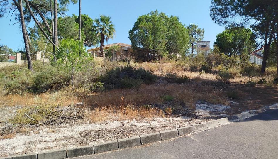 Photo 1 of Residential for sale in Urbanizacion Pinar de la Bota, Isla Cristina Ciudad, Huelva